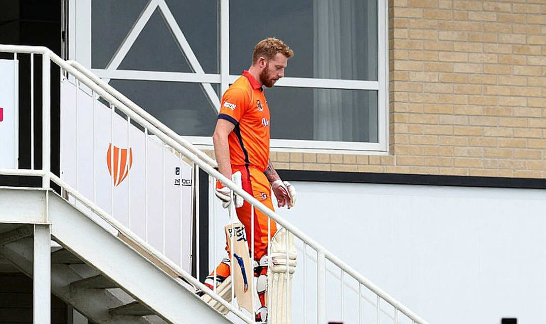 Eight Sections on a Ghost Pitch: The Cricket Report Card in Which Everything Was Filled Except the Evidence Eight Sections on a Ghost Pitch: The Cricket Report Card in Which Everything Was Filled Except the Evidence